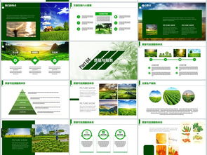 2018互聯(lián)網(wǎng)農(nóng)業(yè)農(nóng)副產(chǎn)品創(chuàng)業(yè)融資生態(tài)圈商業(yè)計(jì)劃書模板